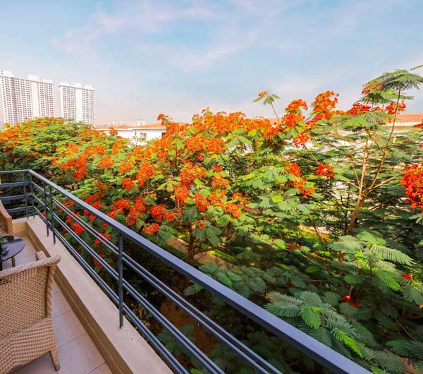 Luxury Amenities at Paramount Golf Foreste Greater Noida
