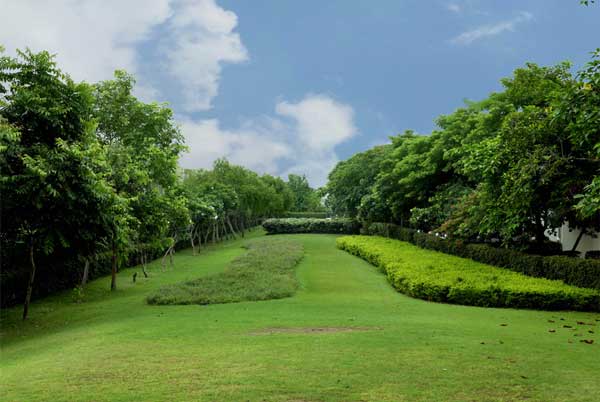Prime Location near Metro in Greater Noida